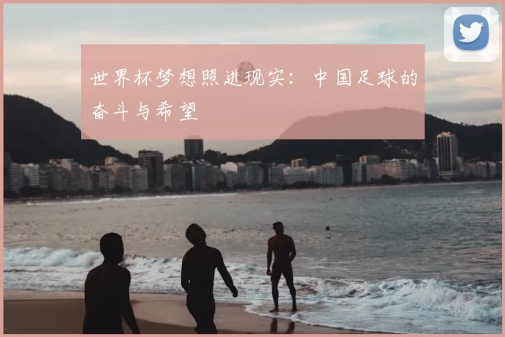 世界杯梦想照进现实：中国足球的奋斗与希望