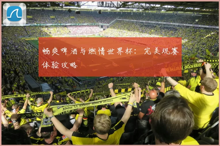 畅爽啤酒与燃情世界杯：完美观赛体验攻略