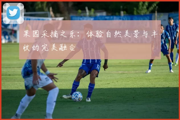 果园采摘之乐:体验自然美景与丰收的完美融合