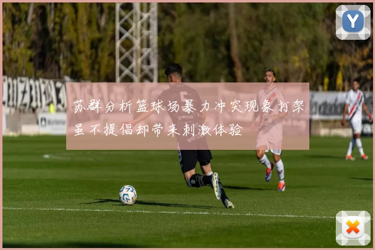 苏群分析篮球场暴力冲突现象打架虽不提倡却带来刺激体验