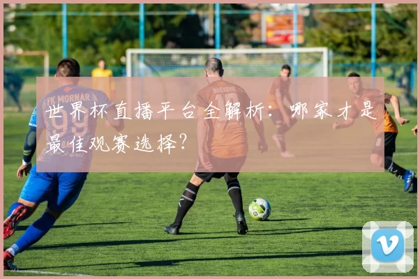 世界杯直播平台全解析:哪家才是最佳观赛选择?