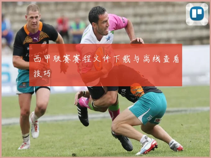 西甲联赛赛程文件下载与离线查看技巧
