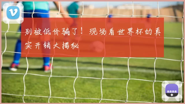 别被低价骗了！现场看世界杯的真实开销大揭秘