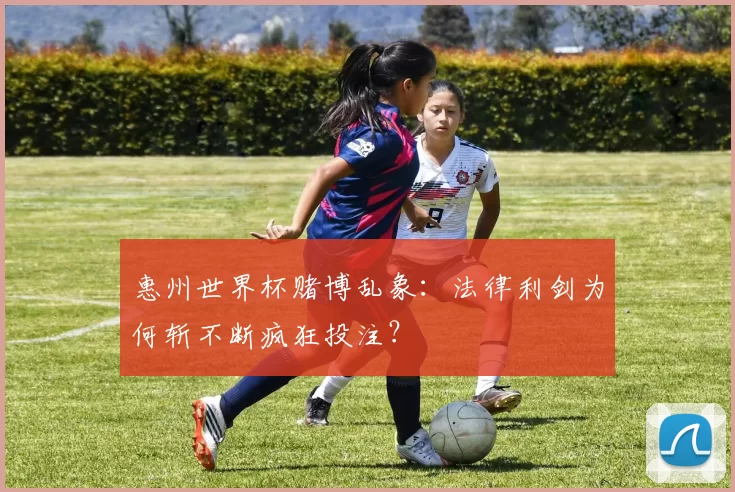 惠州世界杯赌博乱象:法律利剑为何斩不断疯狂投注?