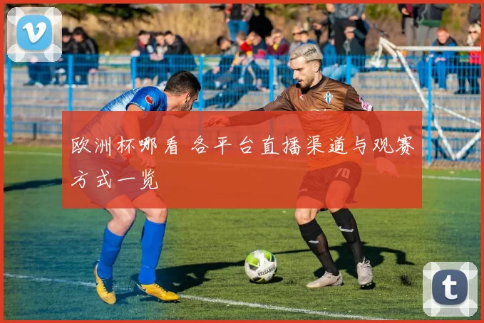 欧洲杯哪看 各平台直播渠道与观赛方式一览