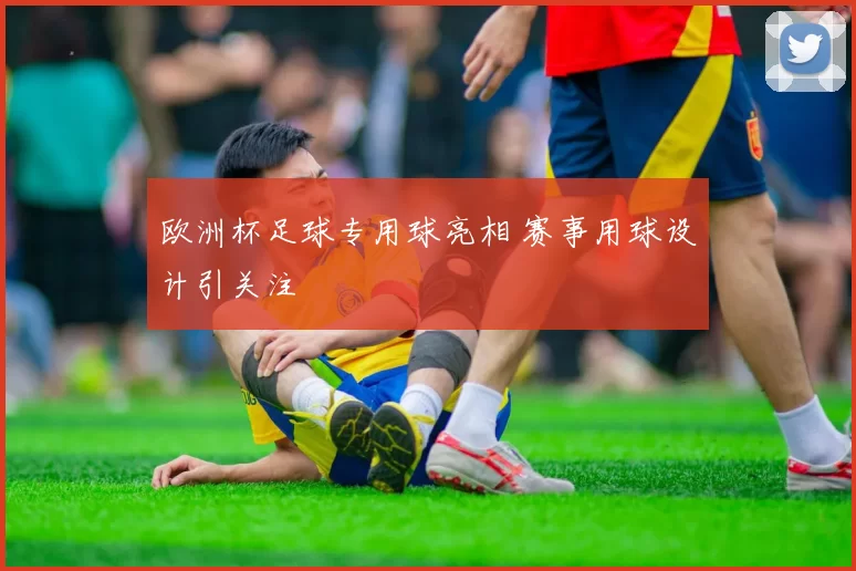 欧洲杯足球专用球亮相 赛事用球设计引关注