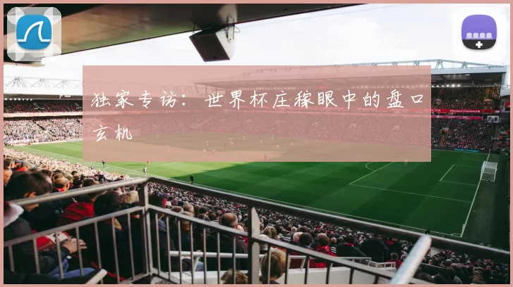 独家专访:世界杯庄稼眼中的盘口玄机