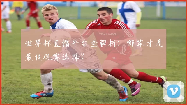 世界杯直播平台全解析:哪家才是最佳观赛选择?