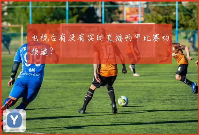 电视台有没有实时直播西甲比赛的频道?