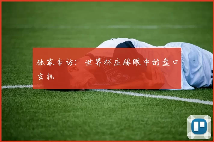 独家专访:世界杯庄稼眼中的盘口玄机