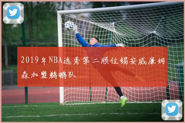 2019年NBA选秀第二顺位锡安威廉姆森加盟鹈鹕队