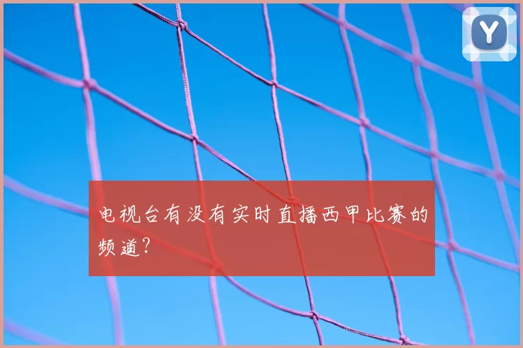 电视台有没有实时直播西甲比赛的频道？