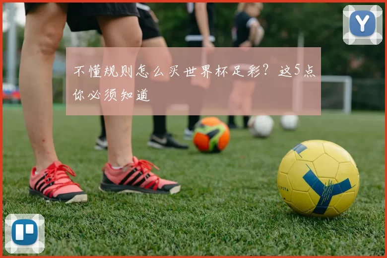 不懂规则怎么买世界杯足彩？这5点你必须知道