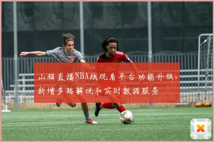 山猫直播NBA线观看平台功能升级,新增多路解说和实时数据服务
