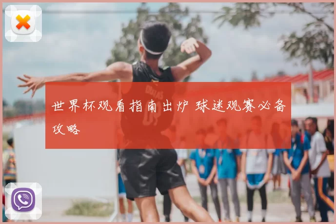 世界杯观看指南出炉 球迷观赛必备攻略