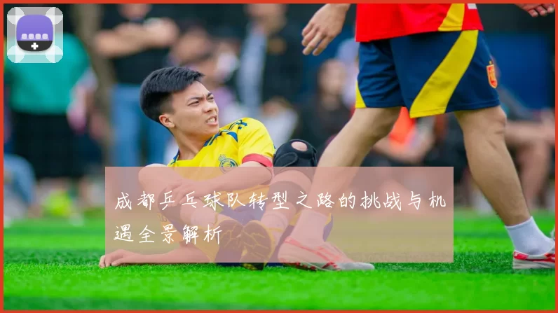 成都乒乓球队转型之路的挑战与机遇全景解析