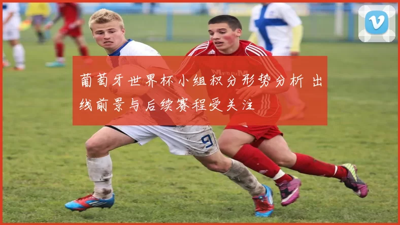 葡萄牙世界杯小组积分形势分析 出线前景与后续赛程受关注