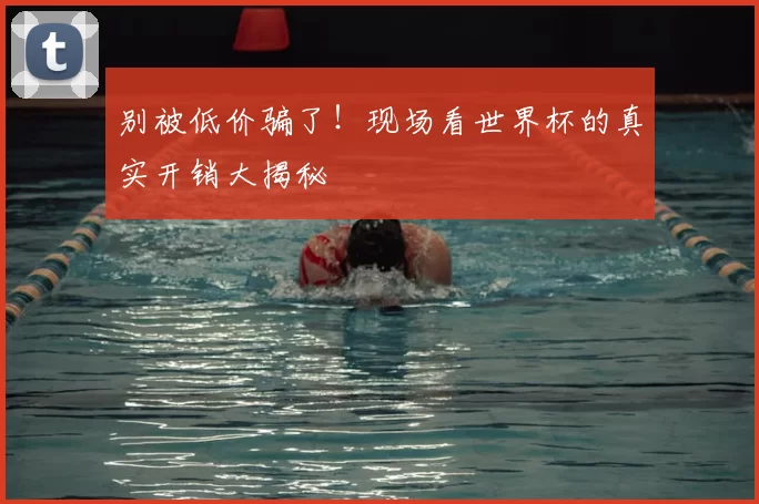别被低价骗了!现场看世界杯的真实开销大揭秘