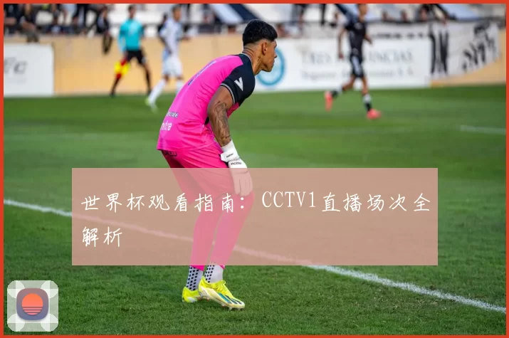 世界杯观看指南:CCTV1直播场次全解析